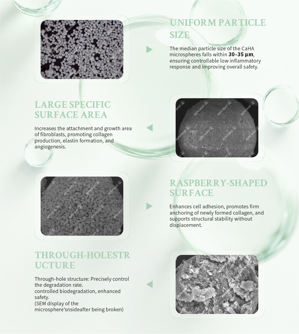 ACD-MT patented microsphere technology overview: Uniform Particle Size 30 to 35 microns, Large Specific Surface Area for fibroblast growth, Raspberry-Shaped Surface for cell adhesion, Through-Hole Structure for controlled biodegradation